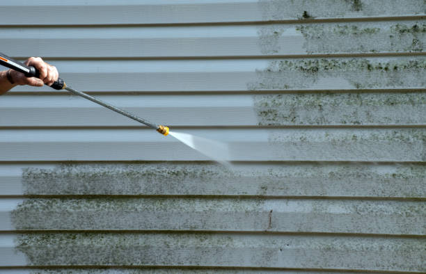 Best Gutter Cleaning  in Copiague, NY